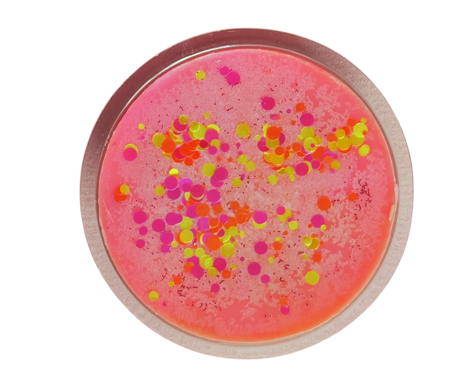 Mango & Peach Wax Melt Wheel