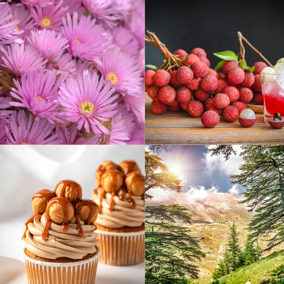 Samba Darling Whipped Soap