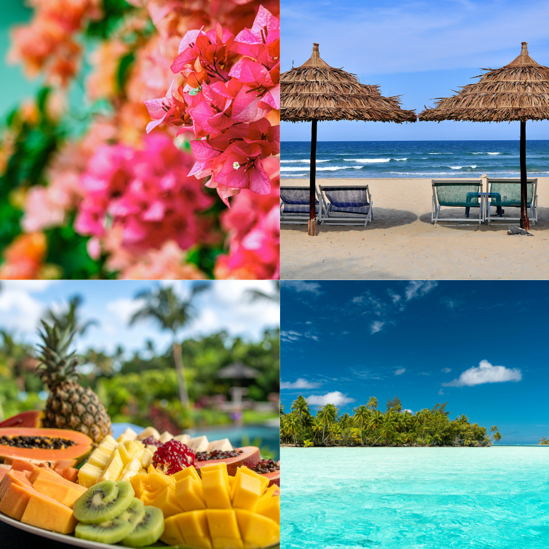 Fresh Tropics Whipped Soap